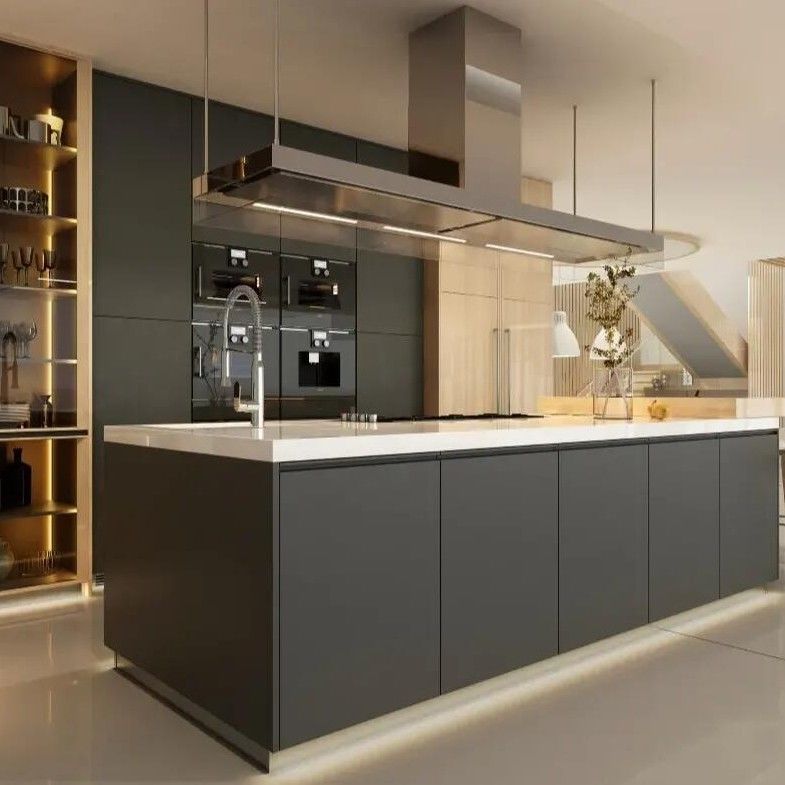Armario de la despensa con panel de puertas de madera sólida en diseño negro