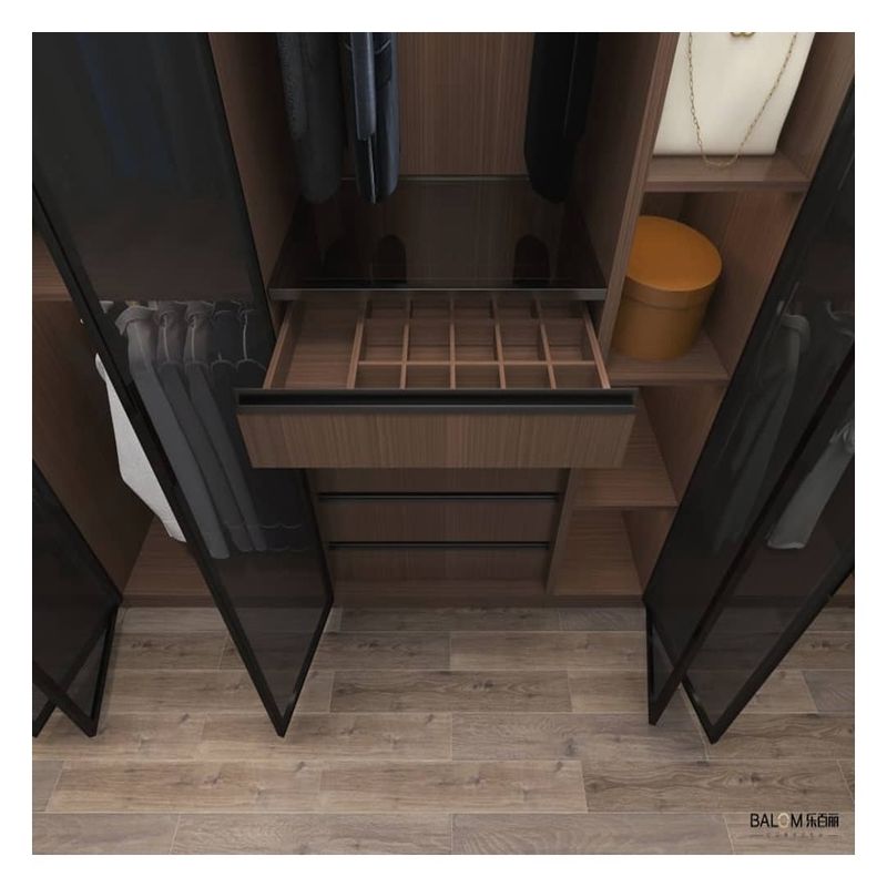 Diseño de iluminación de armarios con estilo panel de puerta de vidrio negro con paneles plegables