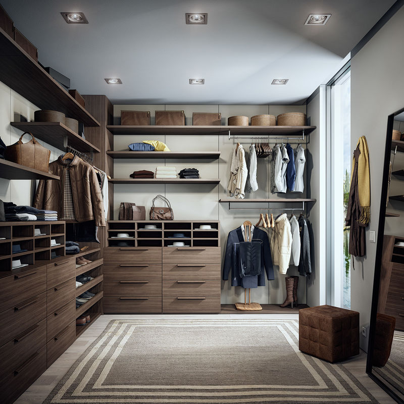 Largo paseo de madera en el armario incorporado para el apartamento moderno 2D / 3D y diseño de alta gama